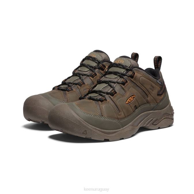 KEEN 8NRX104 calzado cantimplora/curry hombres zapato impermeable circadia