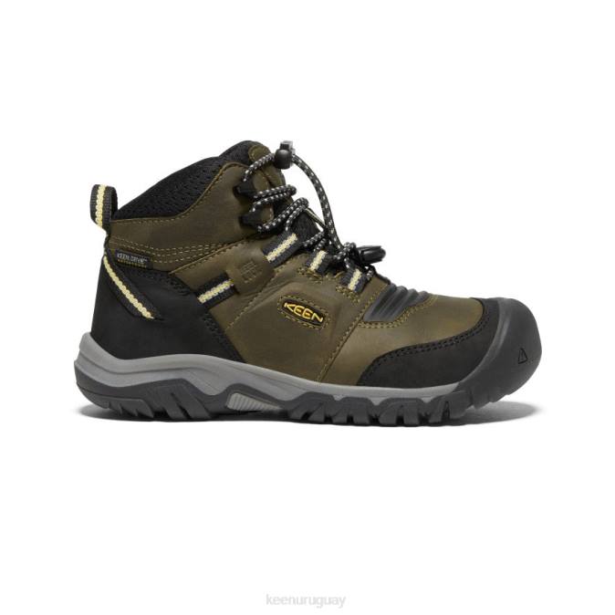 KEEN 8NRX948 calzado oliva oscuro/cidra oscura niños grandes bota impermeable ridge flex
